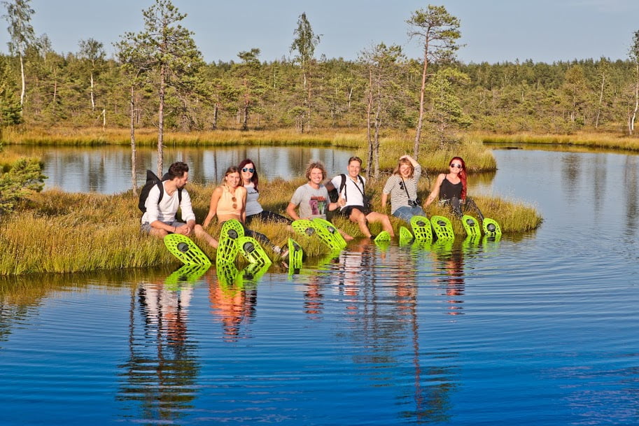 Swamp waders